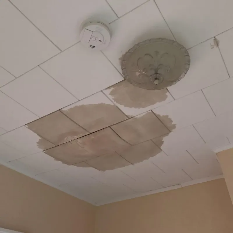 Ceiling Water Damage Repair in Kennedale, TX